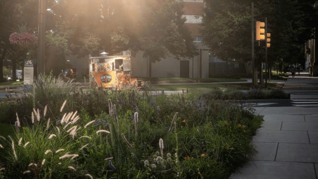 Discover the Final Days of the Academy of Natural Sciences Exhibits