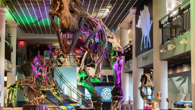 Philadelphia's Natural Science Museum: A Farewell After 200 Years