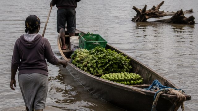 Flooding Concerns at Lake Naivasha: Implications for Global Trade