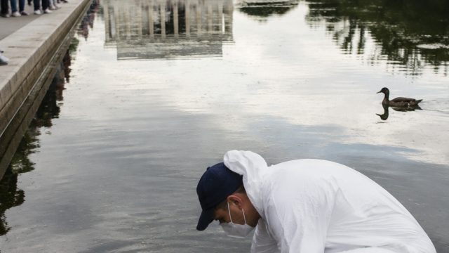Reflecting Pool Under Fire: New Vandalism Claims and Wildlife Concerns | ini joker slot, mrjudi88