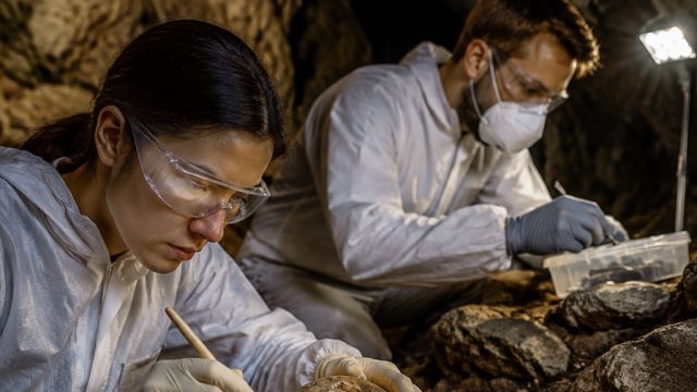 Ancient DNA Discovered in Caves: A New Look at Human History | dewagame88 alternatif, gambar ular na